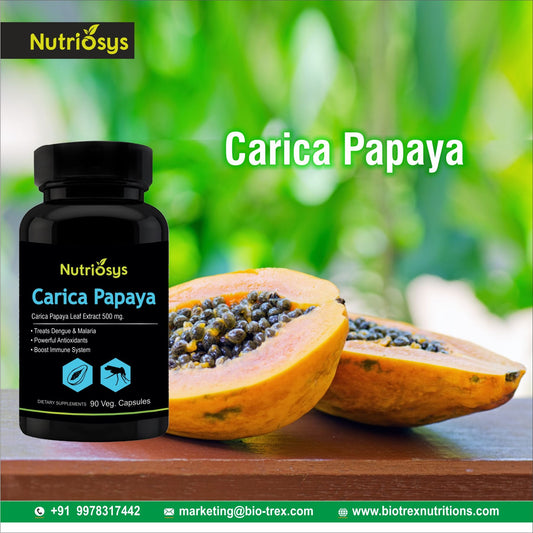 Carica Papaya