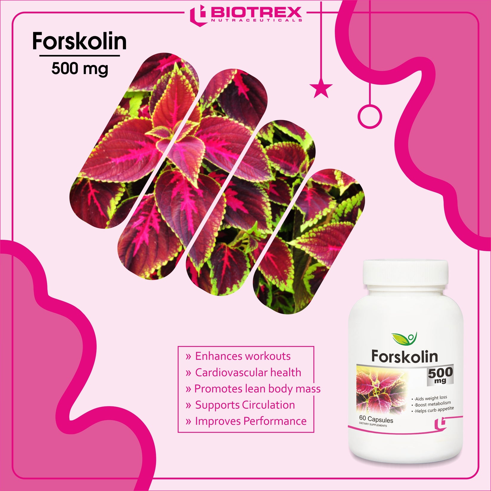 Forskolin 500 Mg Super Max Highest Concentration Of Forskolin On The